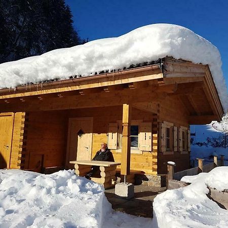 Chalet Sonnheim Lofer Ngoại thất bức ảnh
